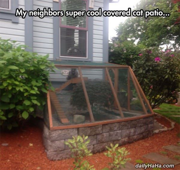 cat patio funny picture