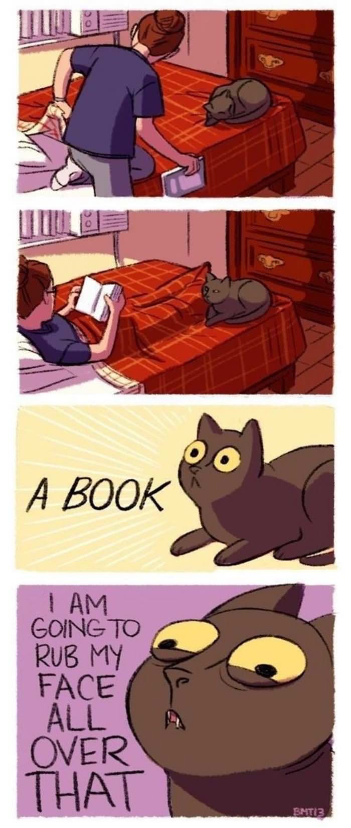 cats love books funny picture