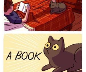 cats love books funny picture