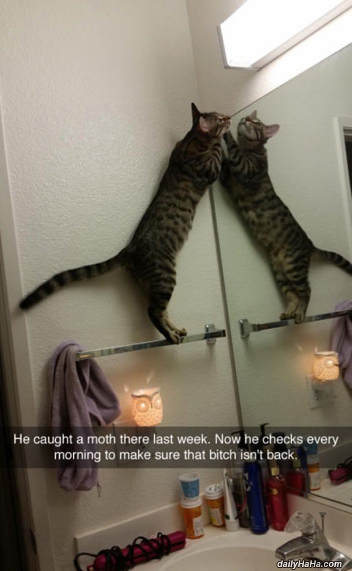 caught a moth funny picture