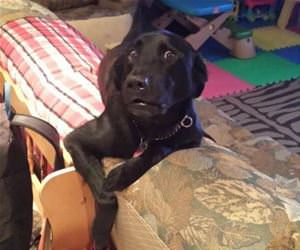 caught him funny picture