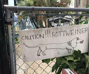 caution for this crazy dog