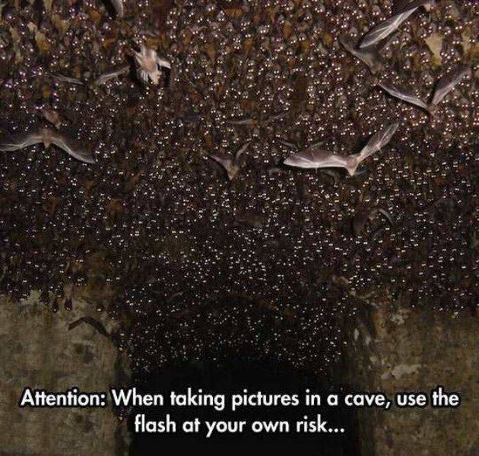 cave pictures funny picture