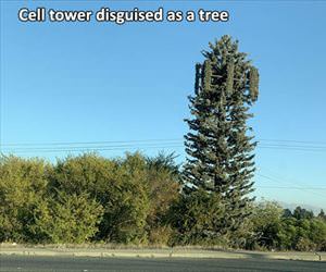 cell tower