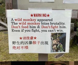 challenge accepted ... 2