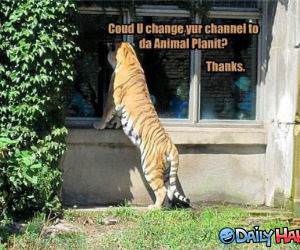 Change Your Channel funny picture