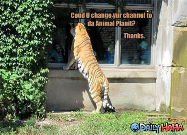 Change Your Channel funny picture