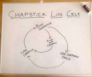 chapstick life cycle funny picture