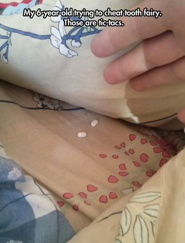 Cheating the Toothfairy funny picture