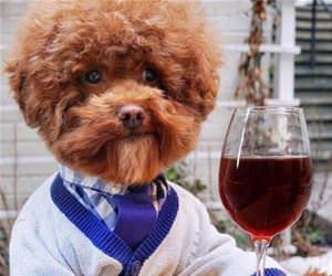 cheers everyone funny picture