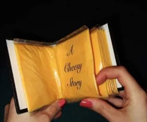 cheesy stor