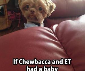 chewbacca and et funny picture