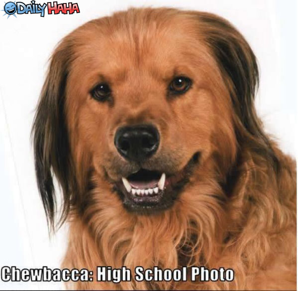 Chewbacca High School Photo funny picture