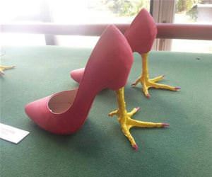chicken shoes funny picture
