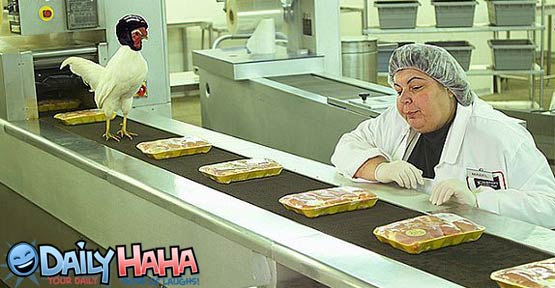 Always wear a helmet