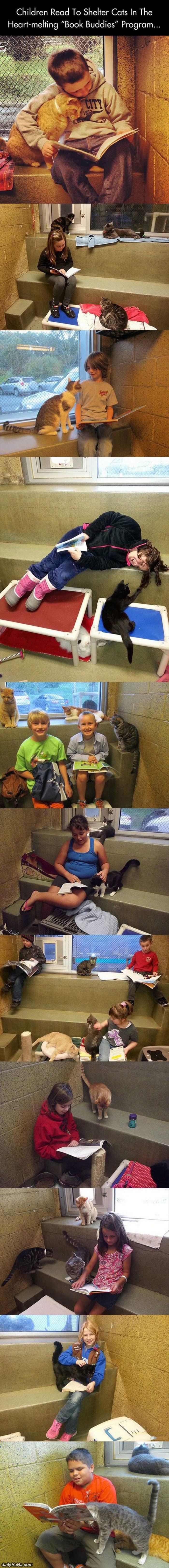 children reading to shelter animals funny picture