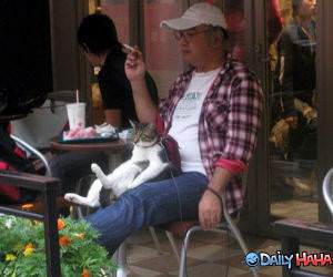 Chilling Cat Funny Picture