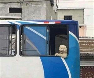 choooooo chooooooooo