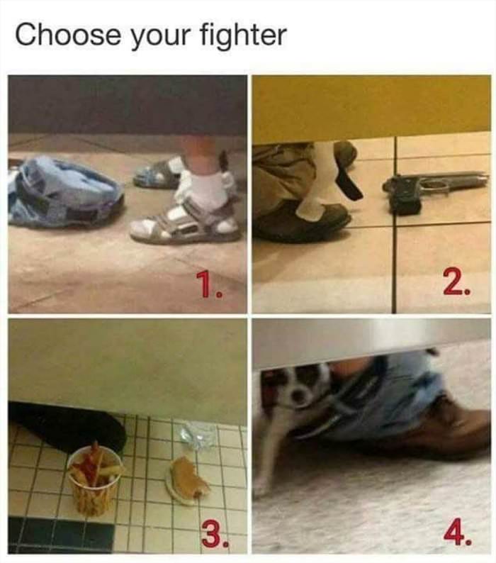 choose your fighter ... 2