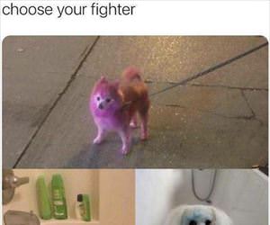 choose your fighter ... 2