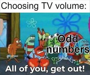 choosing the volume
