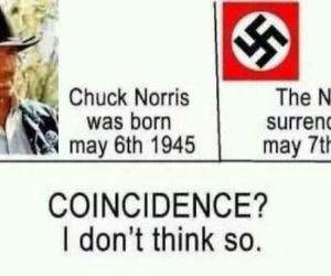 chuck-norris born funny picture