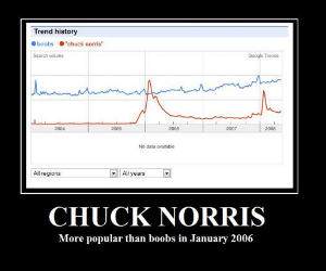Chuck Norris Vs Boobs