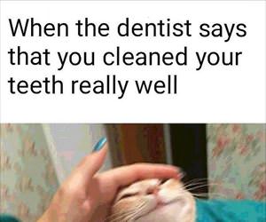 cleaned your teeth really well