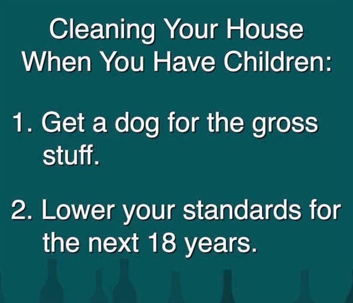 cleaning your house