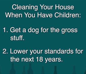 cleaning your house