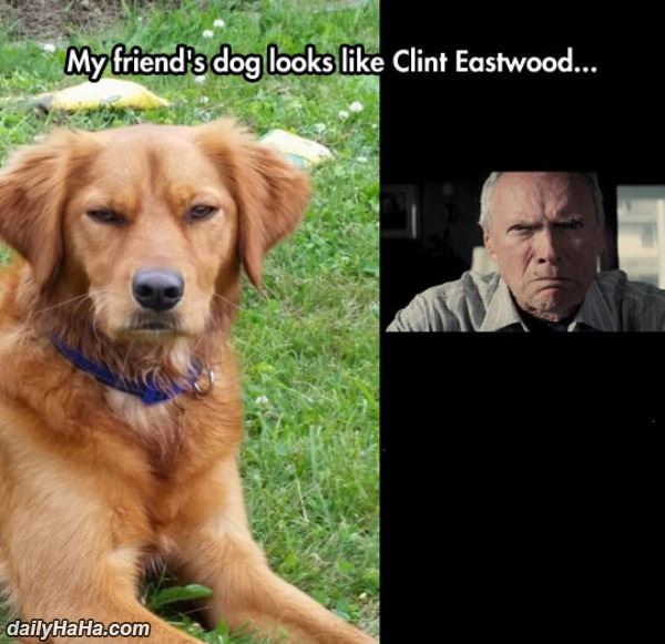 clint eastwood funny picture