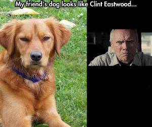 clint eastwood funny picture