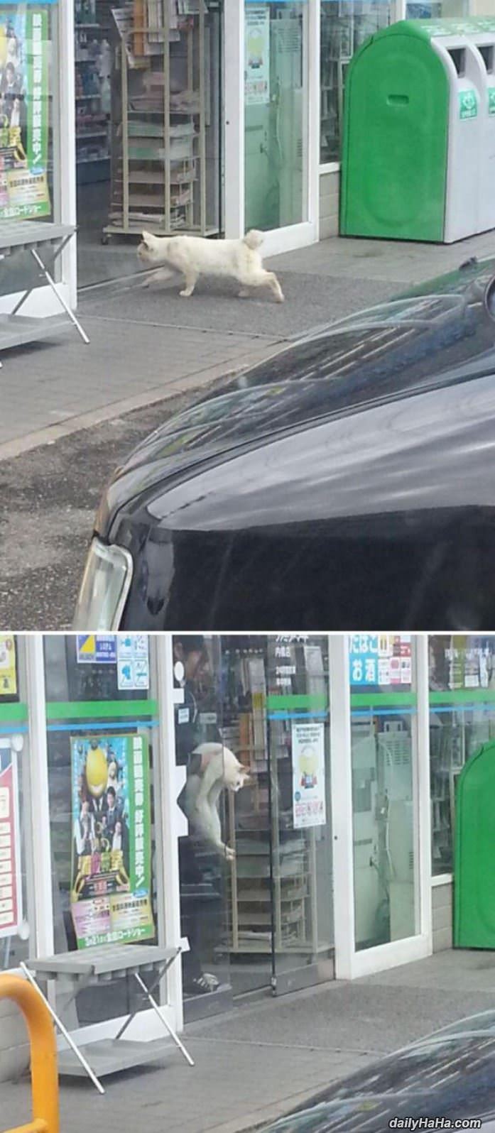 cmmmoonnnnnn funny picture