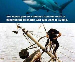 cmon lets cuddle funny picture