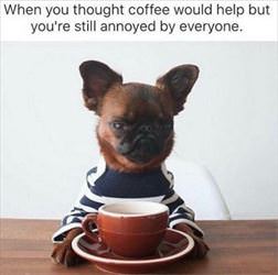 coffee might help