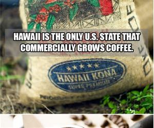 coffee funny picture