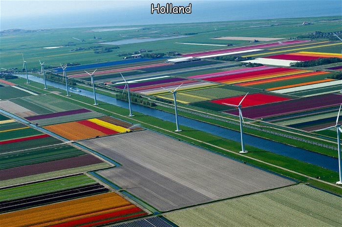 colorful in holland