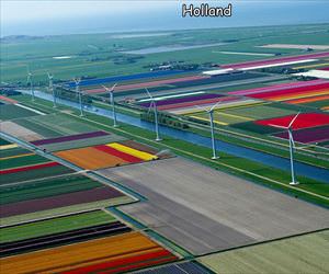 colorful in holland