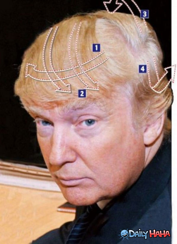Comb Over Explained funny picture