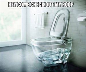 come check this out funny picture