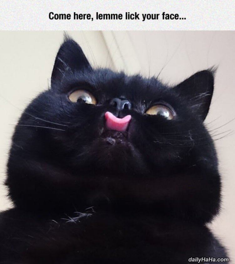 come here funny picture