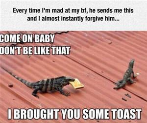 come on baby funny picture