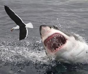 coming for you ... 2