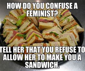 confuse a feminist funny picture