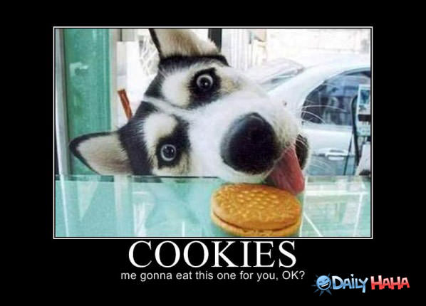 Cookies funny picture