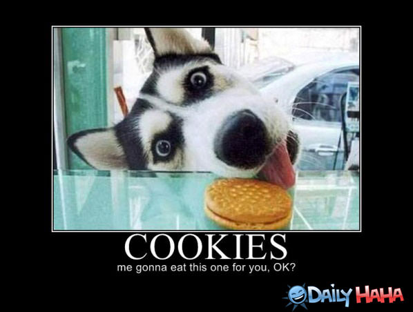 Cookies funny picture