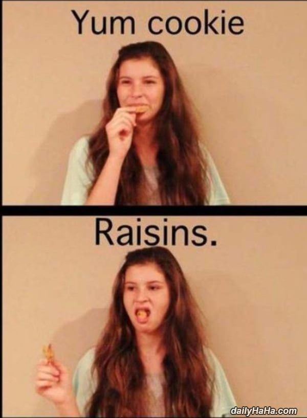 cookies funny picture