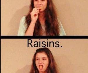 cookies funny picture