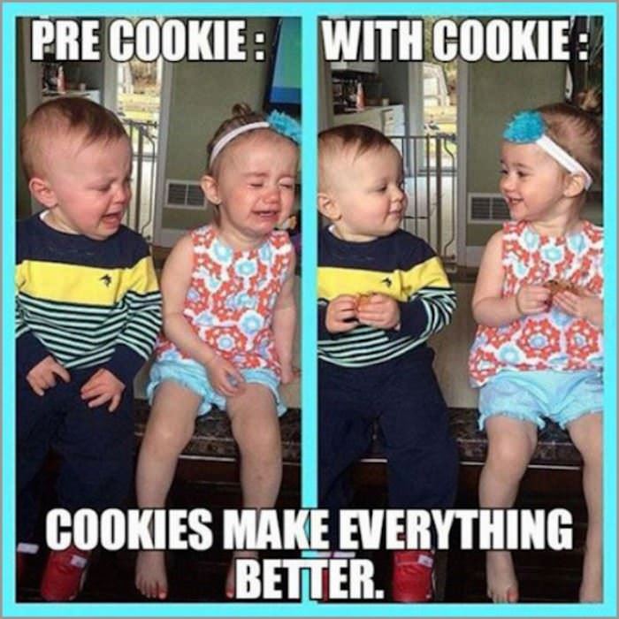 cookies make everything better funny picture
