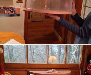 Cool Bird Feeder funny picture